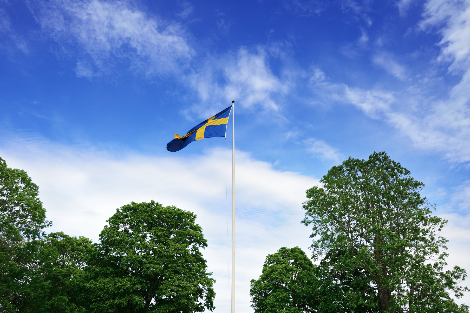 Et svensk flagg som vaier i vinden
