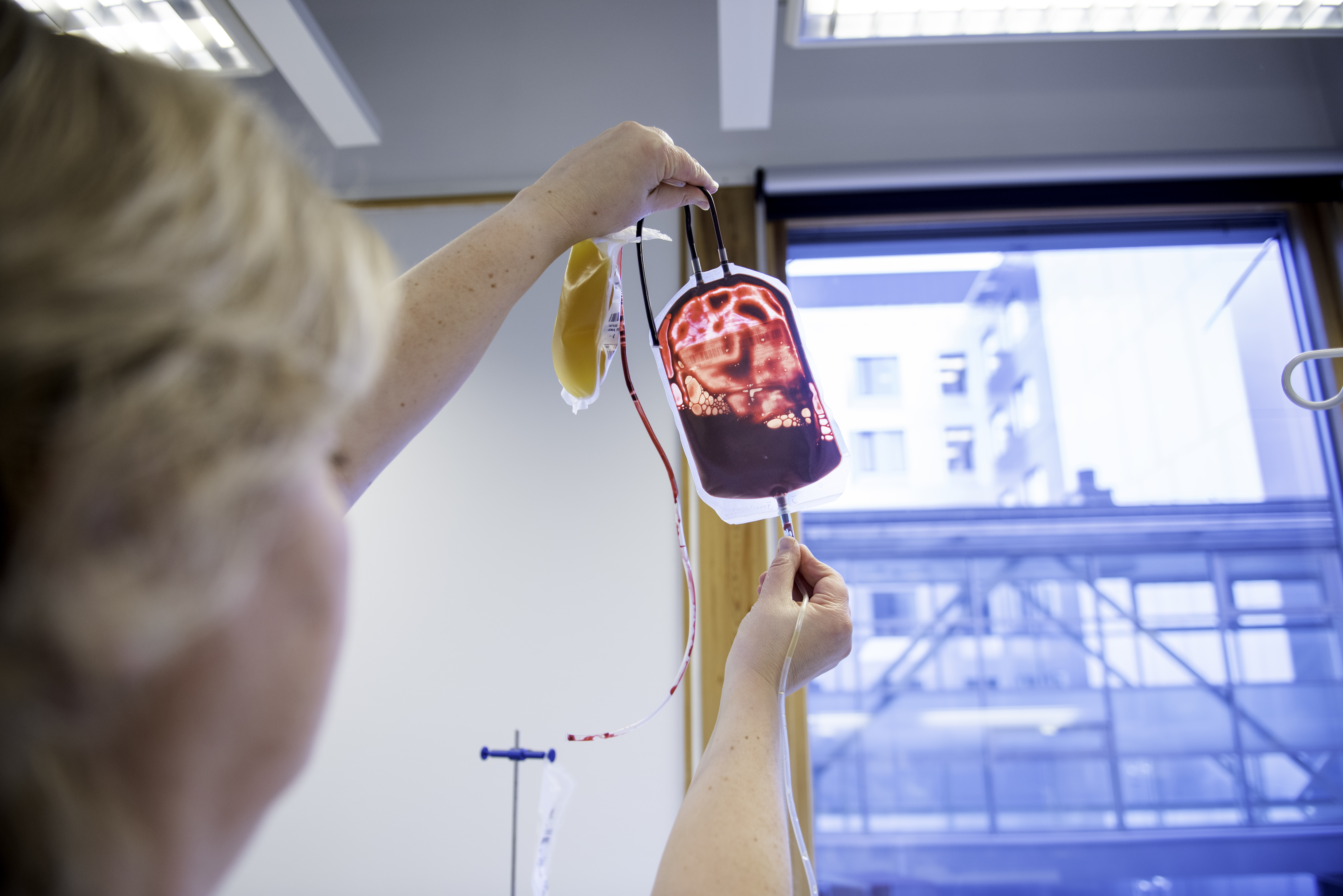 En kvinnelig bioingeniør som holder opp og ser på en blodpose mot et vindu.