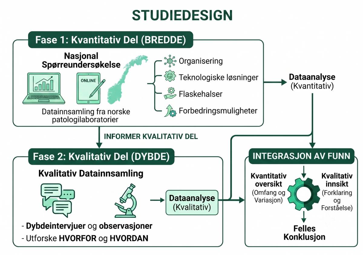 Illustrasjonen forklarer hvordan studien er bygget opp