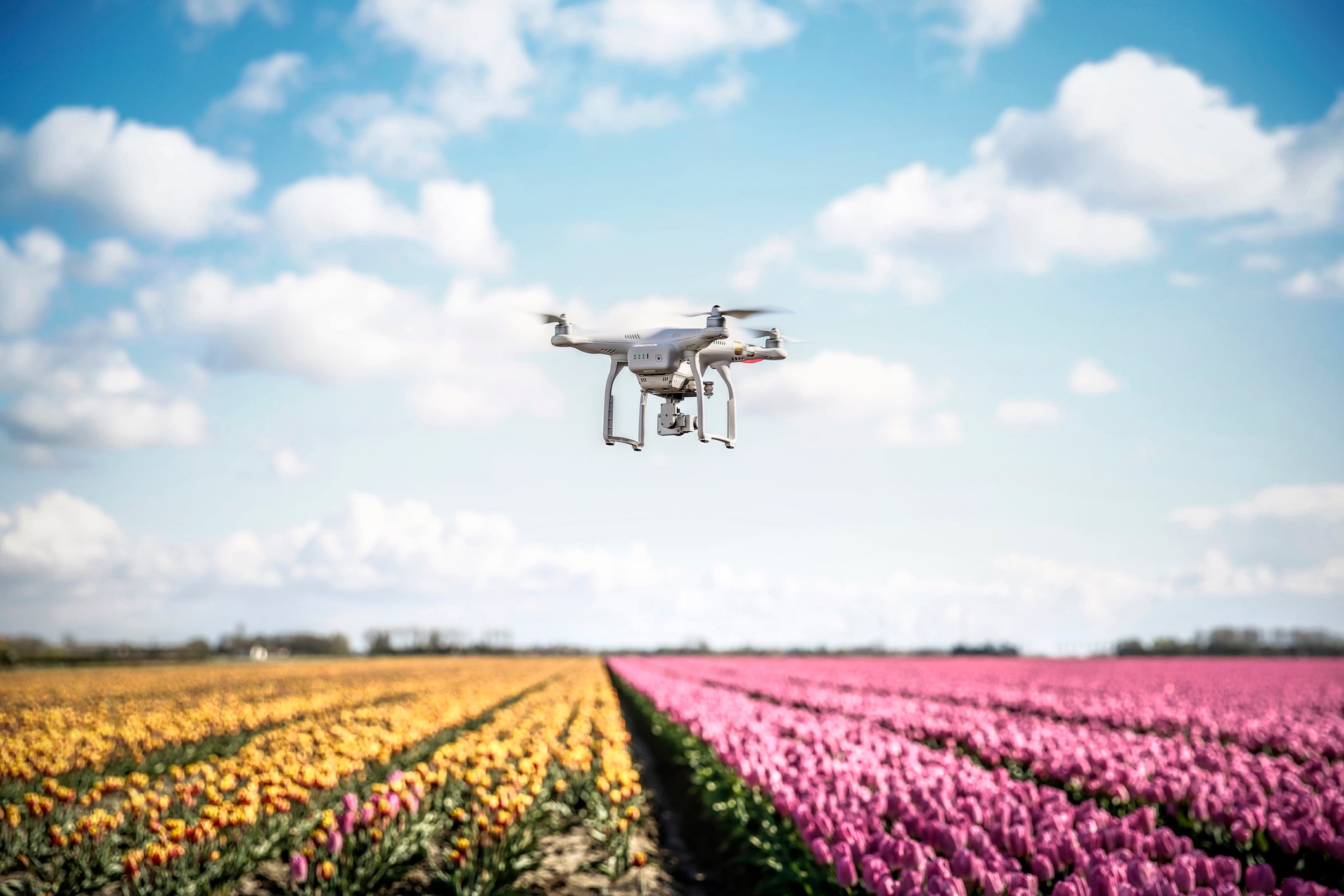 En drone som flyr over en åker