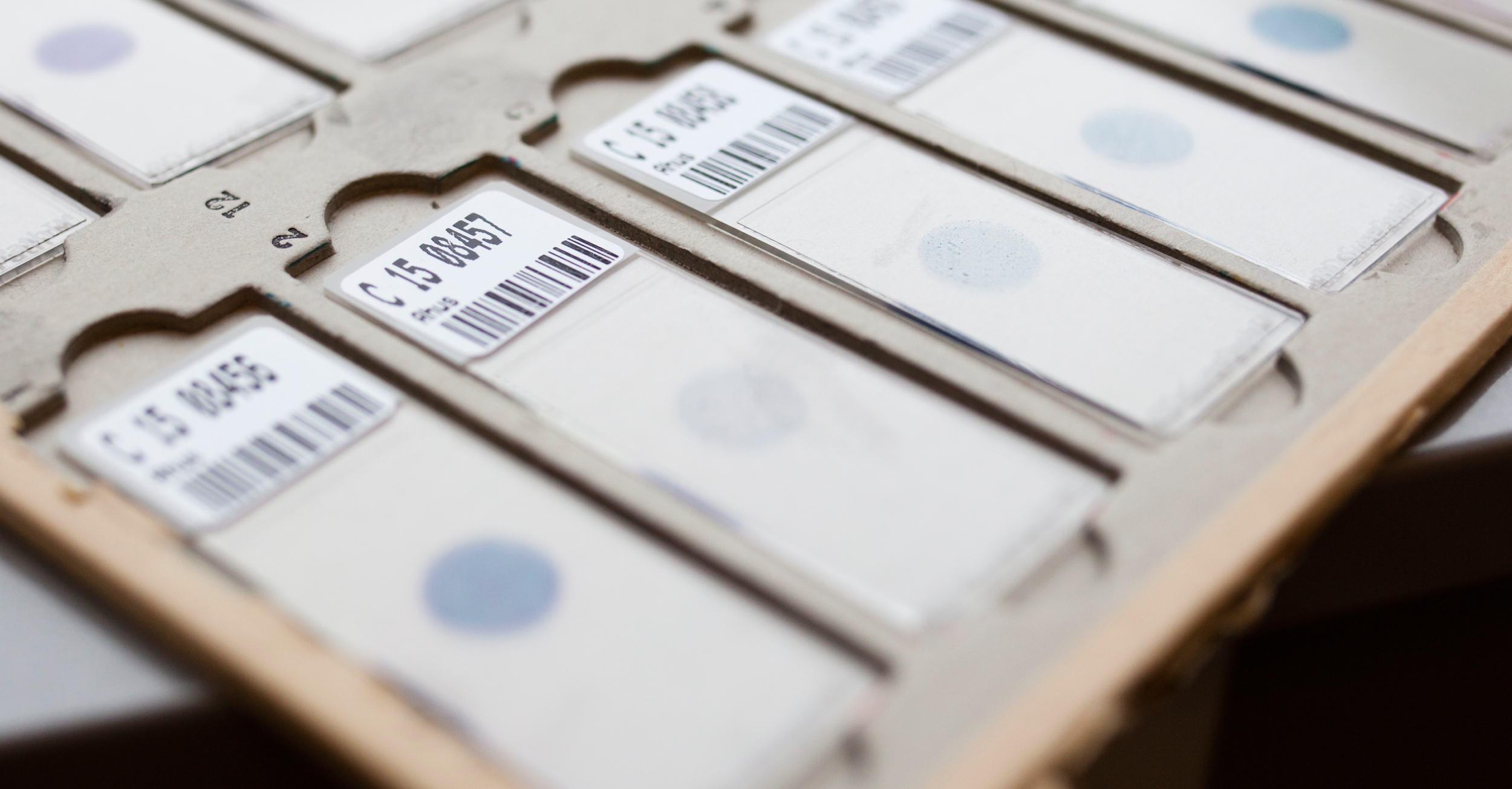 Objektglass med fargede vevsprøver og strekkoder, klart til analyse i laboratorium.