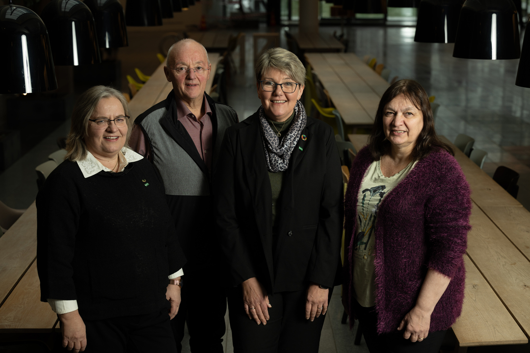 Oppstilt revisjonskomite