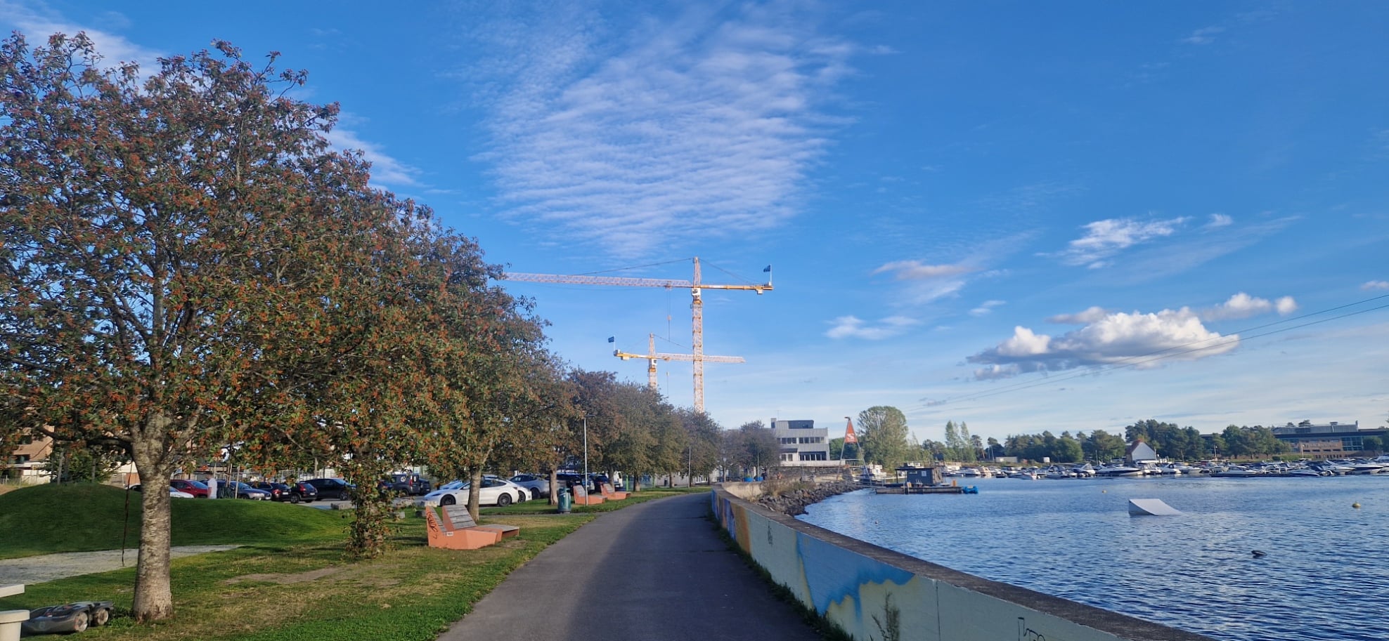 Picture taken along the walkway along the edge of Mjøsa. Trees to the left of the walkway, and Mjøsa to the right. Blue sky and cranes in the distance.