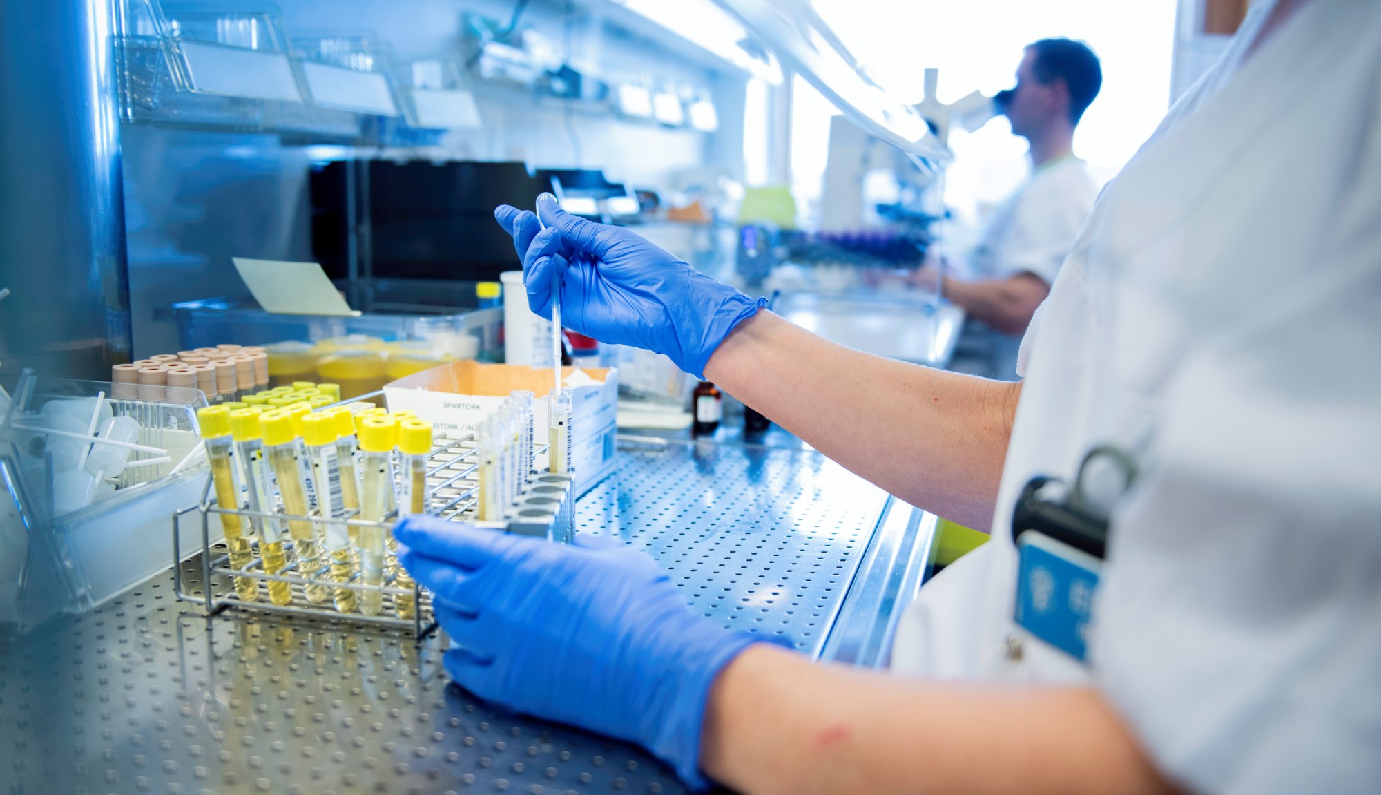 Bildet viser bioingeniører som utøver faglig arbeid på et sykehuslaboratorium