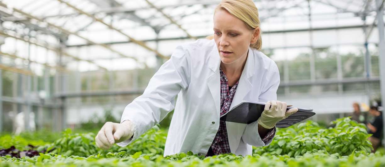 Kvinne i drivhus forsker på planter