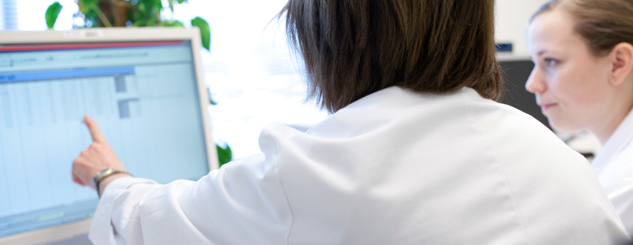 To kvinnelige bioingeniører i ett kontormiljø. Den ene peker og forklarer noe på en PC-skjerm til den andre.