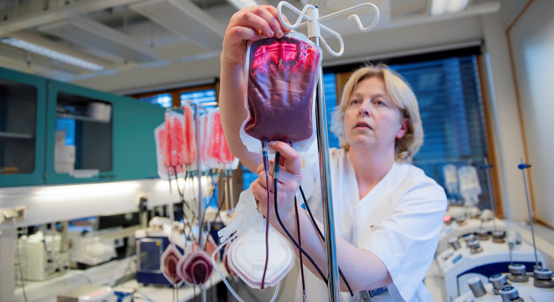 A bioengineer hangs up a blood bag in a laboratory, with several bags and medical equipment in the background.