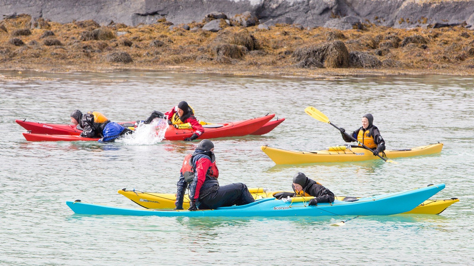 5 kajakker, en blå, to rød og to gul med mennesker som padler i vannet 