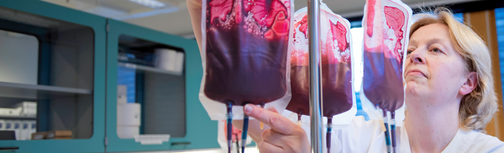 Fire blodposer henger foran blå skap og hvite vegger i et laboratorium.