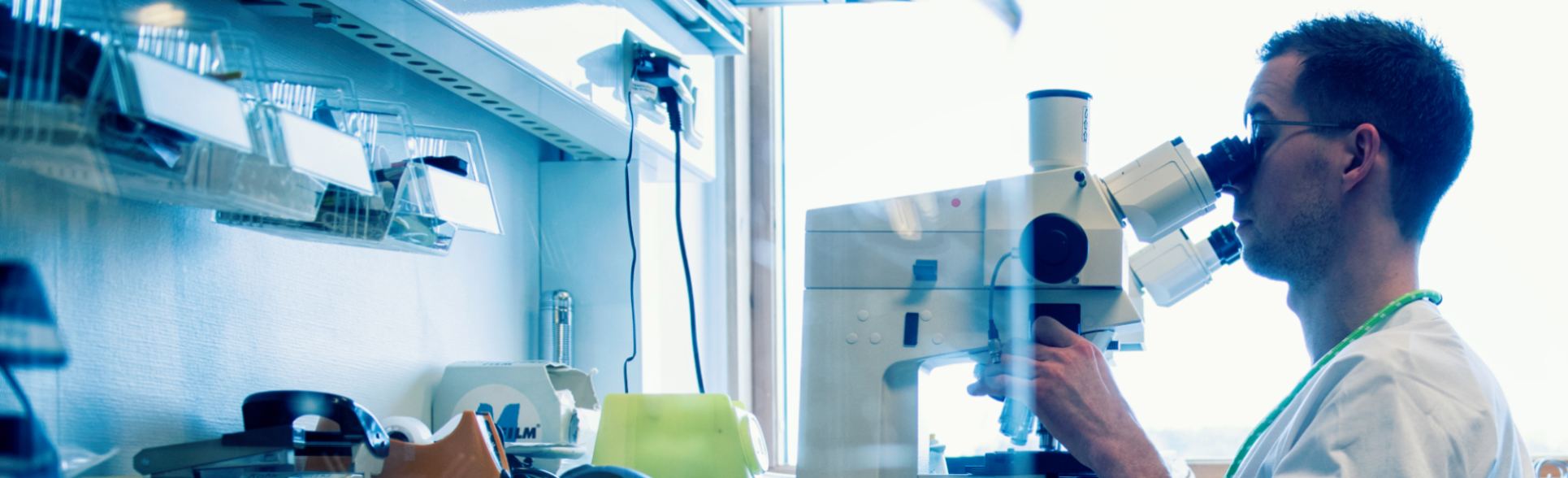 Mannlig bioingeniør som sitter ved et arbeidsbord og ser inn i et mikroskop. 