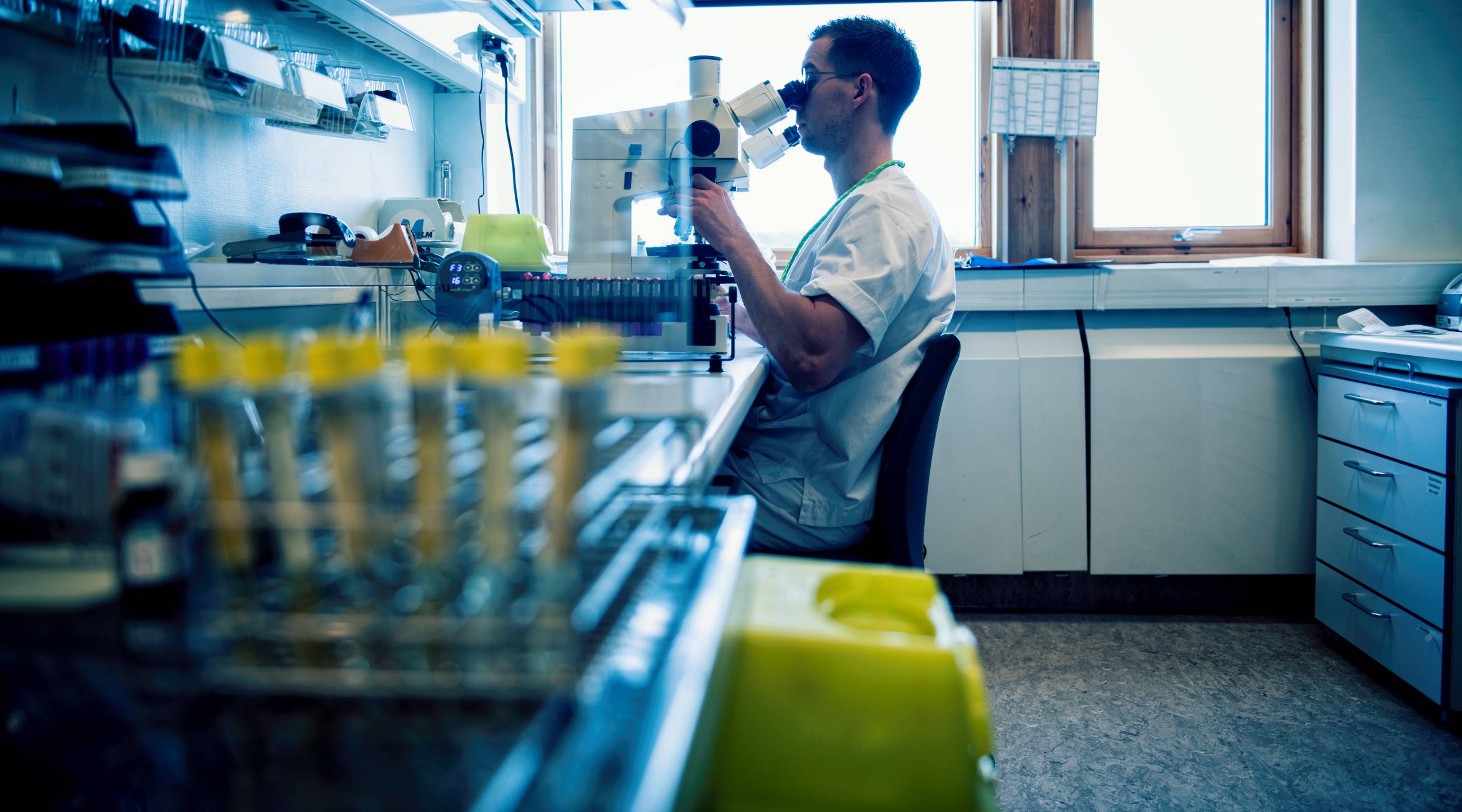 A bioengineer in white work clothes looks under a microscope at a laboratory. Test tubes with yellow lids in the foreground.