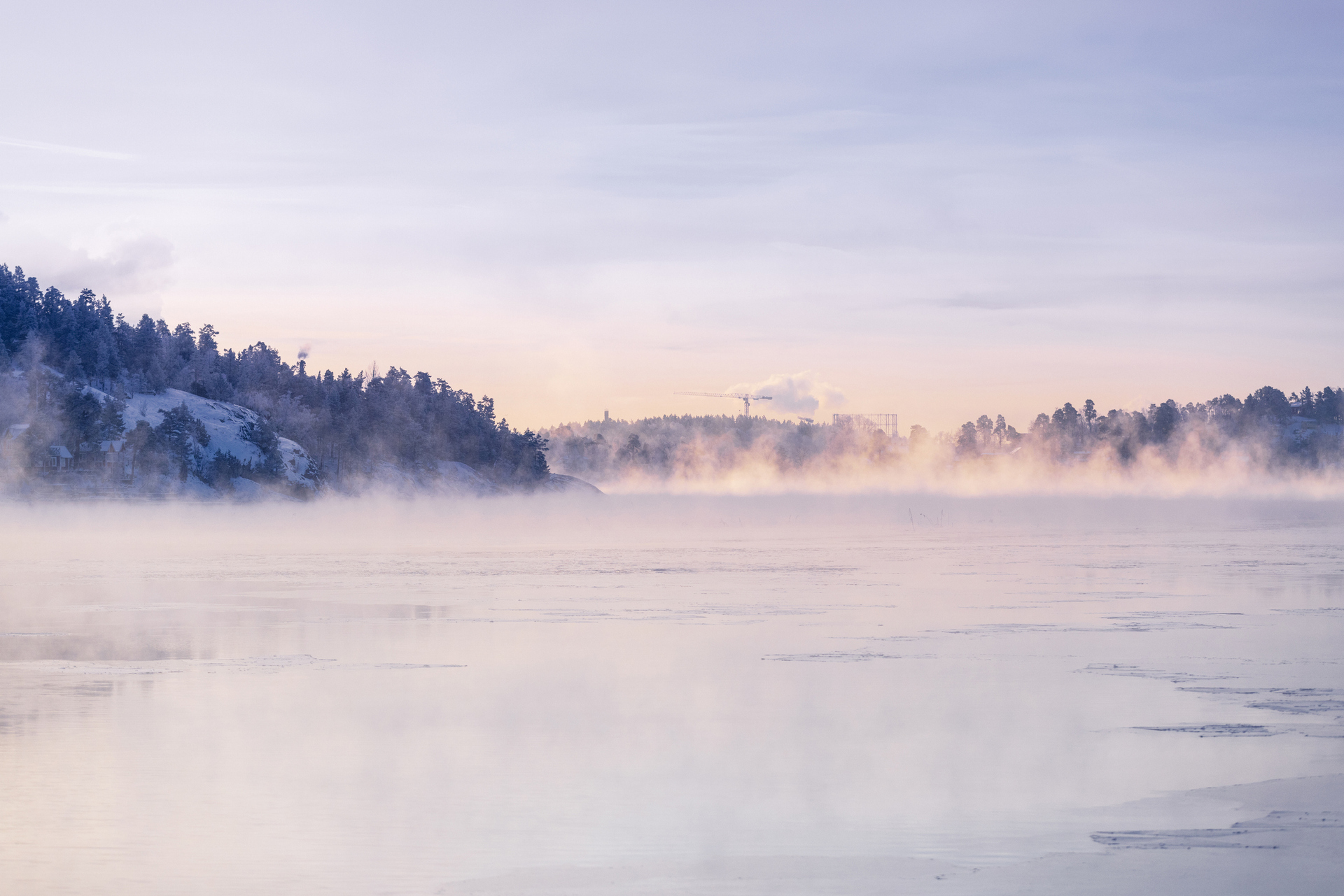 Misty winter landscape